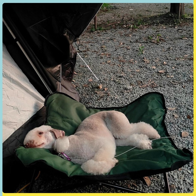 سرير حيوانات أليفة محمول قابل  - مراجعة Outdoor Camping Dog Bed وسعره