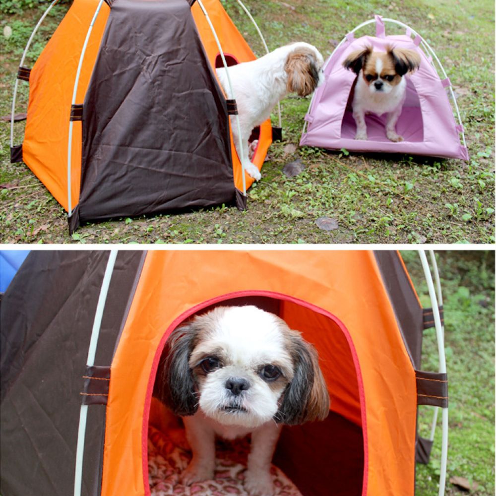 خيمة محمولة للكلاب، بيت خارجي  - مراجعة Outdoor Camping Dog Bed وسعره